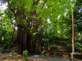 Kalachuchi Beach Resort