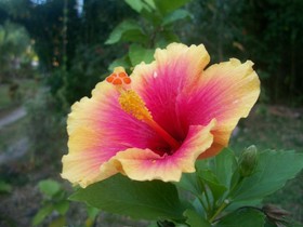 Toris Backpackers Paradise