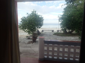 Toris Paradise