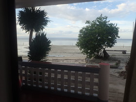 Toris Paradise