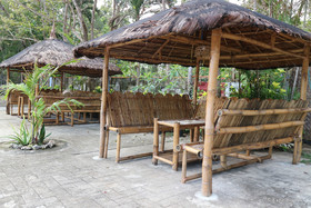 Toris Paradise