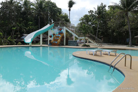 Toris Paradise