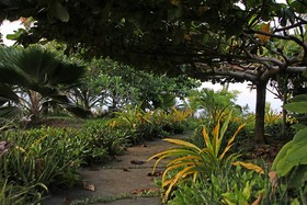 Toris Paradise