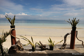 Toris Paradise