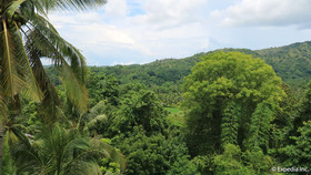Townview Guest House
