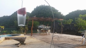 Club Tara Resort