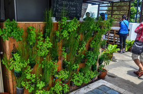 Eco Hotel