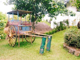 Nurture Wellness Village