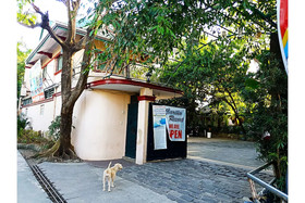 Carino Resort by OYO