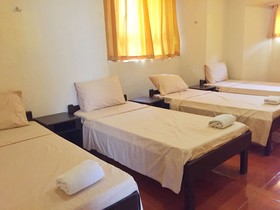 Hotel Veneto De Vigan