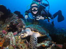 Acqua Dive