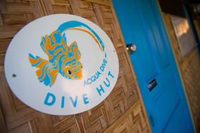 Acqua Dive