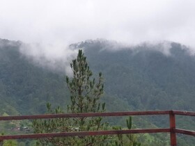 Pine Valley View