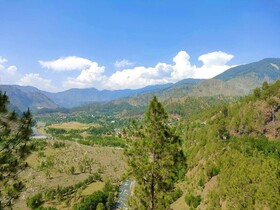 Pine Valley View