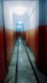 Cecil Hotel