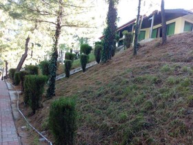 Chinar Family Resort