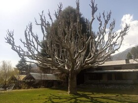 Mountain Inn Hotel Chitral