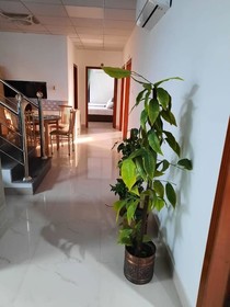 Sultan Executive Hotel