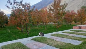 Das-E-Basi