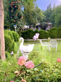 Hotel Green Palace Gahkuch