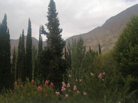 Springfield Resort Gilgit