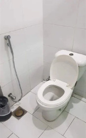 Aleena Hotel