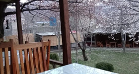 Northern Sapphire Hunza