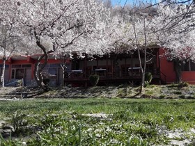 Northern Sapphire Hunza