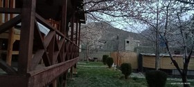 Northern Sapphire Hunza