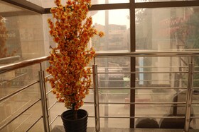 Aqcha Hotel