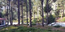 Panjkora Hotel & Resort