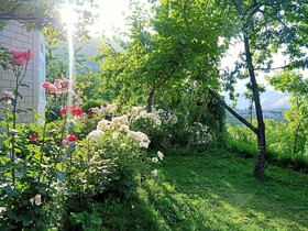 Bhuribake Guest House Hunza