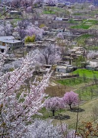Haider Inn