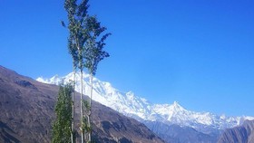 Haider Inn
