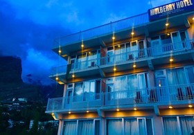 Mulberry Hotel
