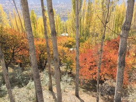 The Hunza Executive Resort & Huts