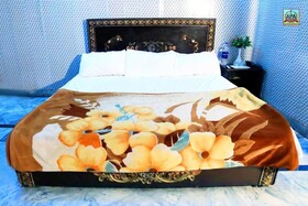 Hotel Royal Inn
