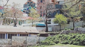 Diamond Hotel