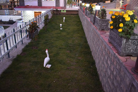 Dream Land Hotel
