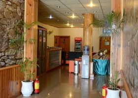 Hotel DeManchi