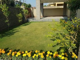 Alpha Guest House