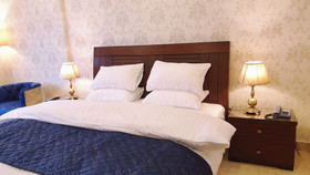 Hotel Grand Arena