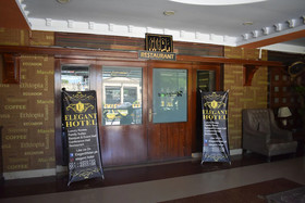 The Elegant Hotel