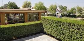 Bhittai Hotel