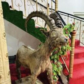 Al Madina Hotel Skardu