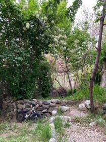 Des Dastaan