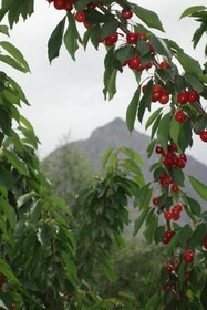 Highland View Skardu