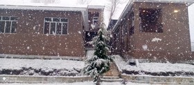 Forest Valley Cottages