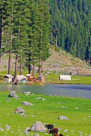 Forest Valley Cottages