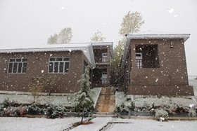 Forest Valley Cottages